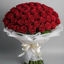 Букет 101 Красная роза Блэк Мэджик #REPLACE_PRED# Спокойной