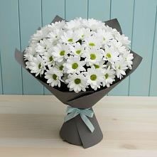 Букет цветов из:  Хризантемы #REPLACE_PRED# Спокойной