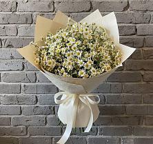 Букет цветов из:  Ромашки в Спокойной