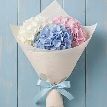 Букет цветов из:  Гортензия в Спокойной