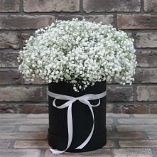 Цветочная композиция из Гипсофила в шляпной коробке в Спокойной