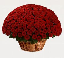 Премиум букет из: Розы #REPLACE_PRED# Спокойной