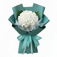 Букет цветов из:  Гортензия в Спокойной
